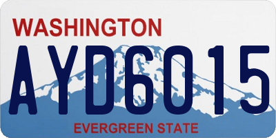WA license plate AYD6015