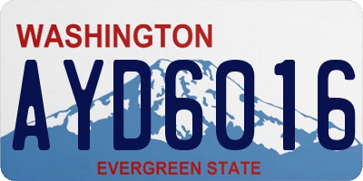 WA license plate AYD6016