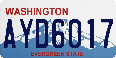 WA license plate AYD6017