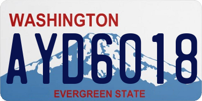WA license plate AYD6018