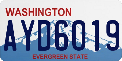 WA license plate AYD6019