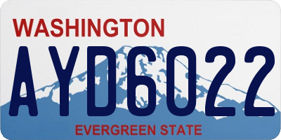 WA license plate AYD6022
