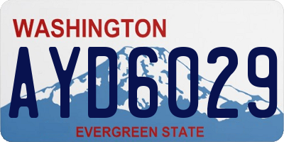 WA license plate AYD6029