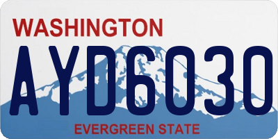 WA license plate AYD6030