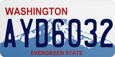 WA license plate AYD6032