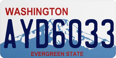 WA license plate AYD6033