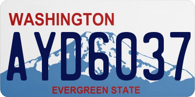 WA license plate AYD6037