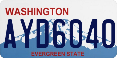 WA license plate AYD6040