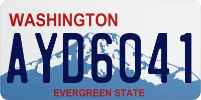 WA license plate AYD6041