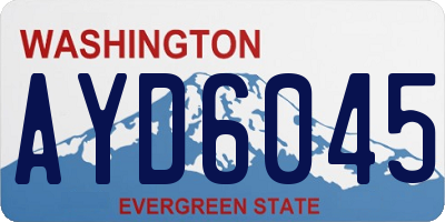 WA license plate AYD6045