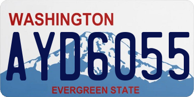 WA license plate AYD6055