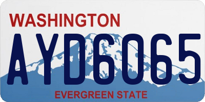 WA license plate AYD6065