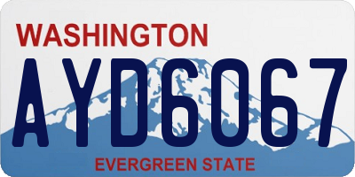 WA license plate AYD6067