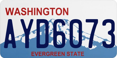 WA license plate AYD6073