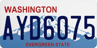 WA license plate AYD6075