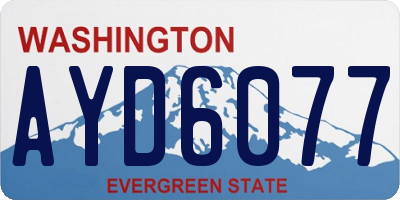 WA license plate AYD6077