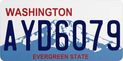 WA license plate AYD6079