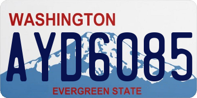 WA license plate AYD6085