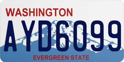 WA license plate AYD6099