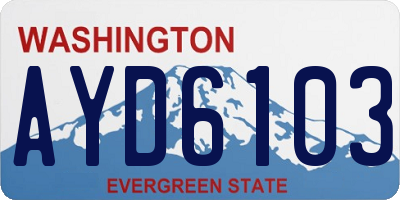 WA license plate AYD6103