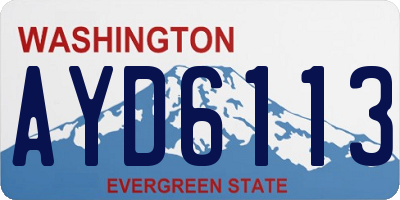 WA license plate AYD6113