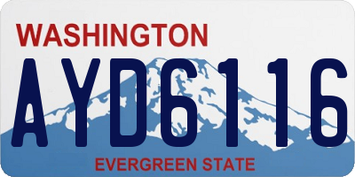 WA license plate AYD6116