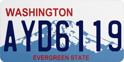 WA license plate AYD6119