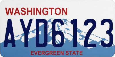WA license plate AYD6123