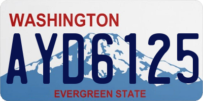 WA license plate AYD6125