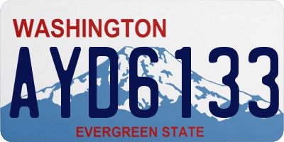 WA license plate AYD6133