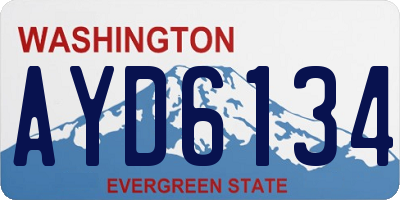 WA license plate AYD6134