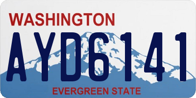 WA license plate AYD6141