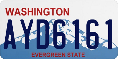 WA license plate AYD6161