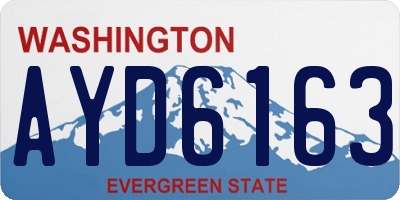 WA license plate AYD6163
