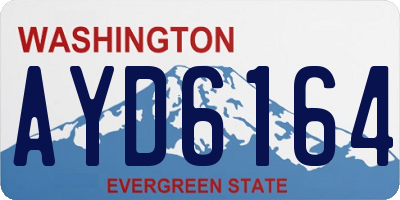 WA license plate AYD6164