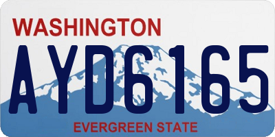 WA license plate AYD6165