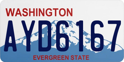 WA license plate AYD6167