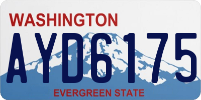 WA license plate AYD6175