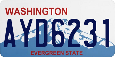 WA license plate AYD6231