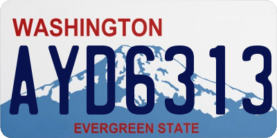 WA license plate AYD6313