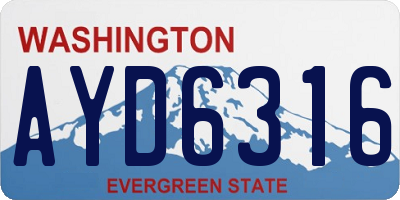 WA license plate AYD6316