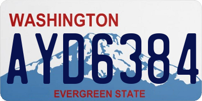 WA license plate AYD6384