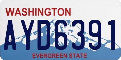 WA license plate AYD6391