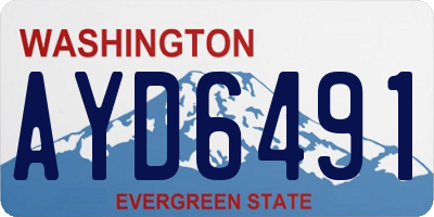 WA license plate AYD6491