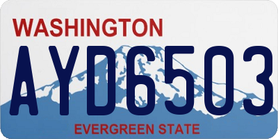 WA license plate AYD6503