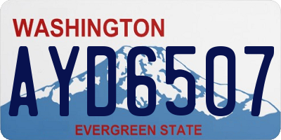 WA license plate AYD6507