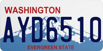 WA license plate AYD6510