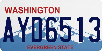 WA license plate AYD6513