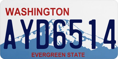 WA license plate AYD6514