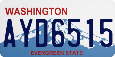 WA license plate AYD6515